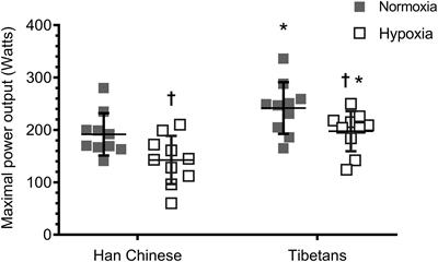 Differential Brain and Muscle Tissue Oxygenation Responses to Exercise in Tibetans Compared to Han Chinese